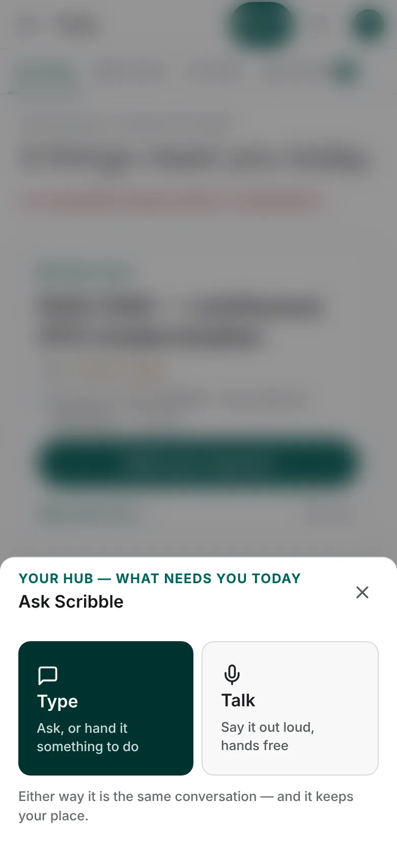 Ask Scribble on a phone, offering Type or Talk
